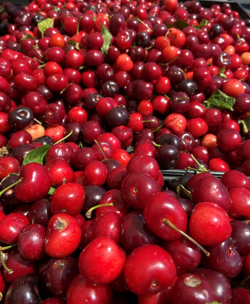 Happy Friday. Enjoy something fresh and good.